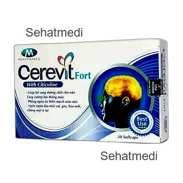 Cerevit Tablets (1 Box = 30 Tablets)