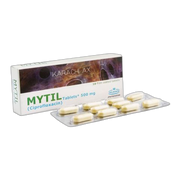 Wilson's Pharmaceuticals Mytil Tablet, 500mg, 10-Pack