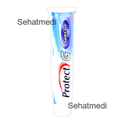 Protect G Tooth Paste 110g
