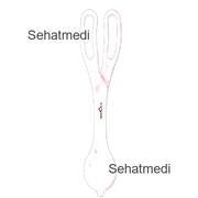 Spectra Baby Tong 1-Pcs