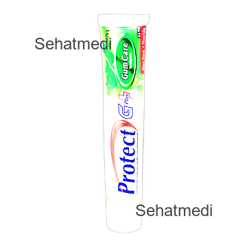 Protect G Gum Care Tooth Paste 70g