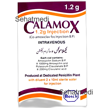 Calamox I.V Injection 1.2g