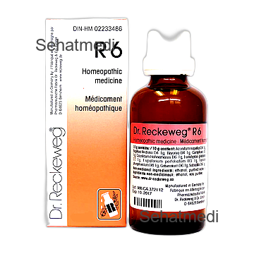 R-6 Influenza drop 22ml