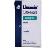 Lincocin Injection 300mg/ml