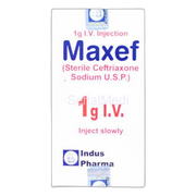 Maxef Injection 1g IV