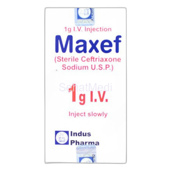 Maxef Injection 1g IV