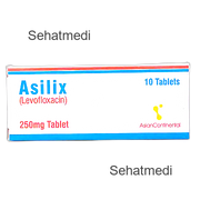 Asilix 250mg tablet 1x10's