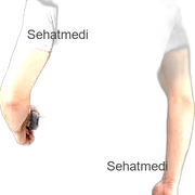 Spinal Support Large 40 45 Inches