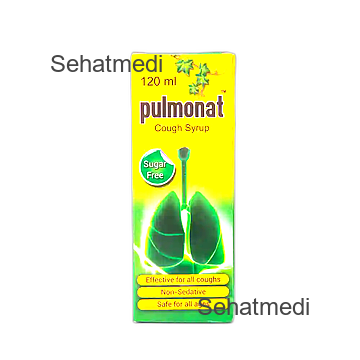Pulmonat 120 Ml Syrup
