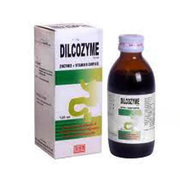 Dilcozyme Syrup 120ml