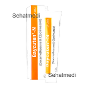 Baycuten-N Cream 30g