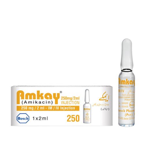 Amkay 250mg injection 1 Ampx2ml