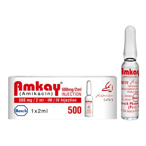 Amkay 500mg injection