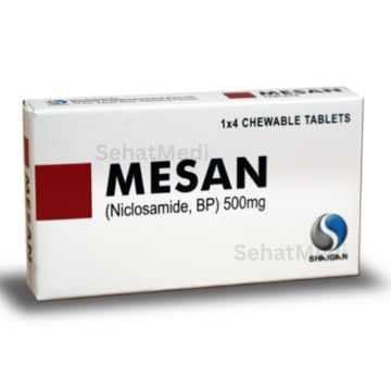 Mesan Tab 500mg 4’s