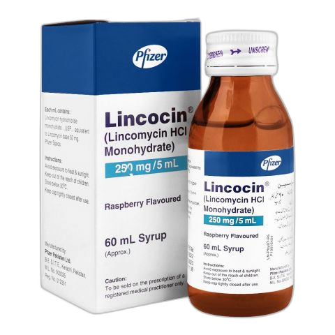 Pfizer Lincocin Syrup, 250mg/5ml, 60ml