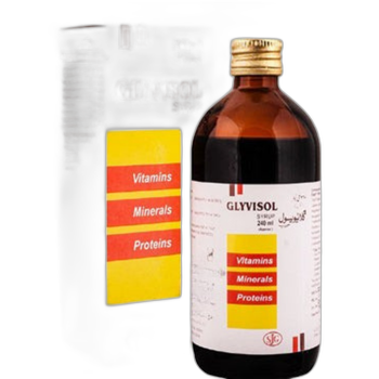 Glyvisol Syrup 240ml