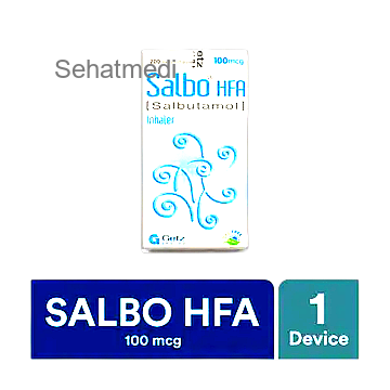 Salbo HFA 100 mcg Inhaler