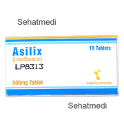 Asilix 500mg tablet 1x10's