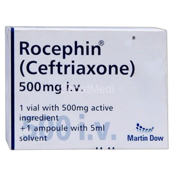 Rocephin Injection 500mg