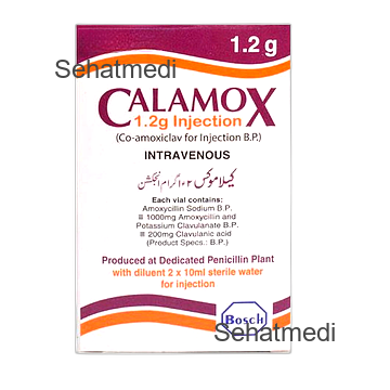 Calamox Injection 0.6g