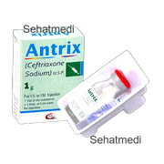 Amtraxa 1gm injection 1 Vial