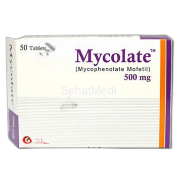 Mycolate Tablets 500mg