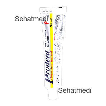 Prodent Dental Protection Toothpaste 100gm – SehatMedi Online Pharmacy