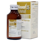 Neucef DS Syrup 250mg/60ml