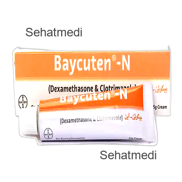 Baycuten N Cream 15g