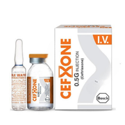 Cefxone I.V Injection 0.5g